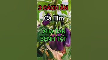 3 Cách Ăn Cà Tím Xua Tan Bệnh Tật #dinhduong #health #suckhoe