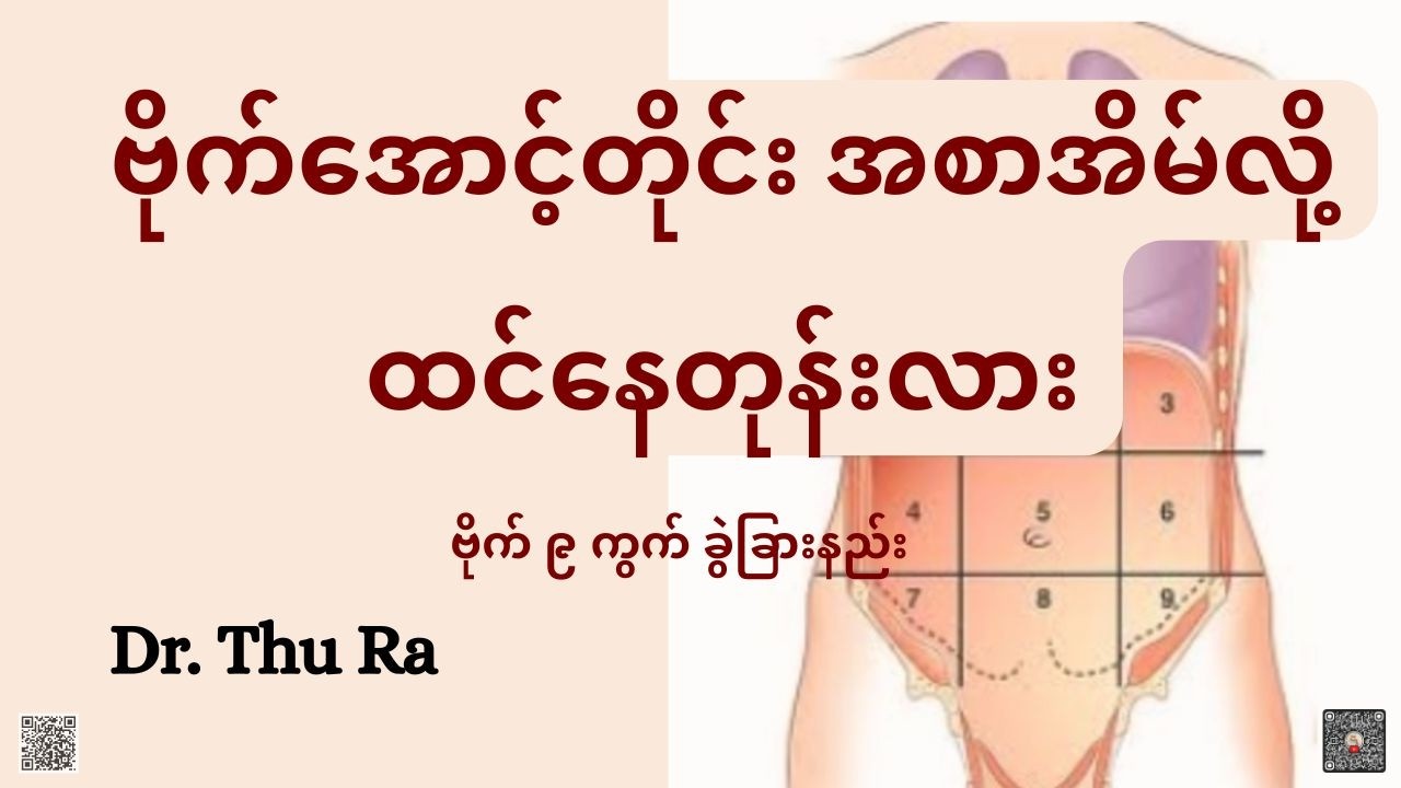 ဗိုက် ၉ ကွက်(ဗိုက်အောင့်တိုင်းအစာအိမ်လို့ထင်နေလား) #ဗိုက်၉ကွက်#9regionsofabdomen