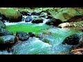 Flowing River White Noise 🌊 Relax Your Mind and Fall Asleep Fast