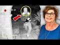Nancy Guthrie Mystery Deepens Masked Figure Video FBI Reward Suspect Released Still Missing