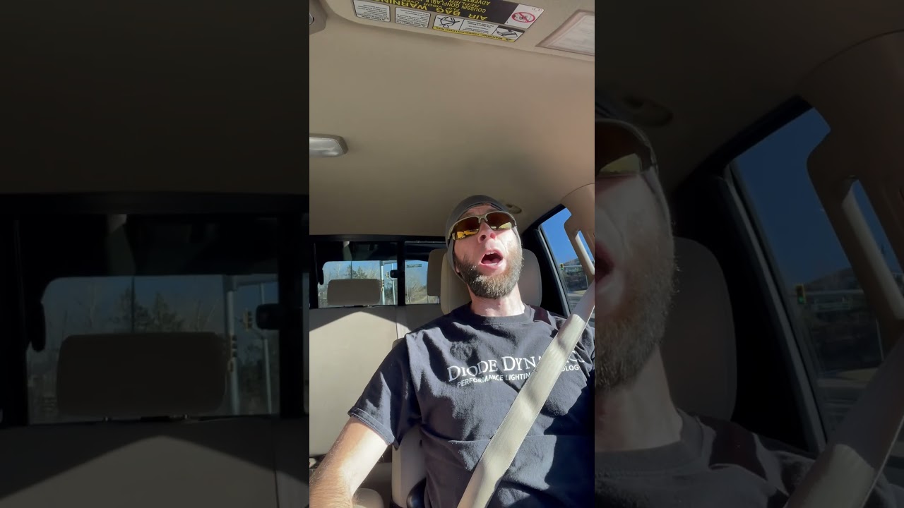 aFe POWER Pro Dry S air filter acceleration 4.6L 