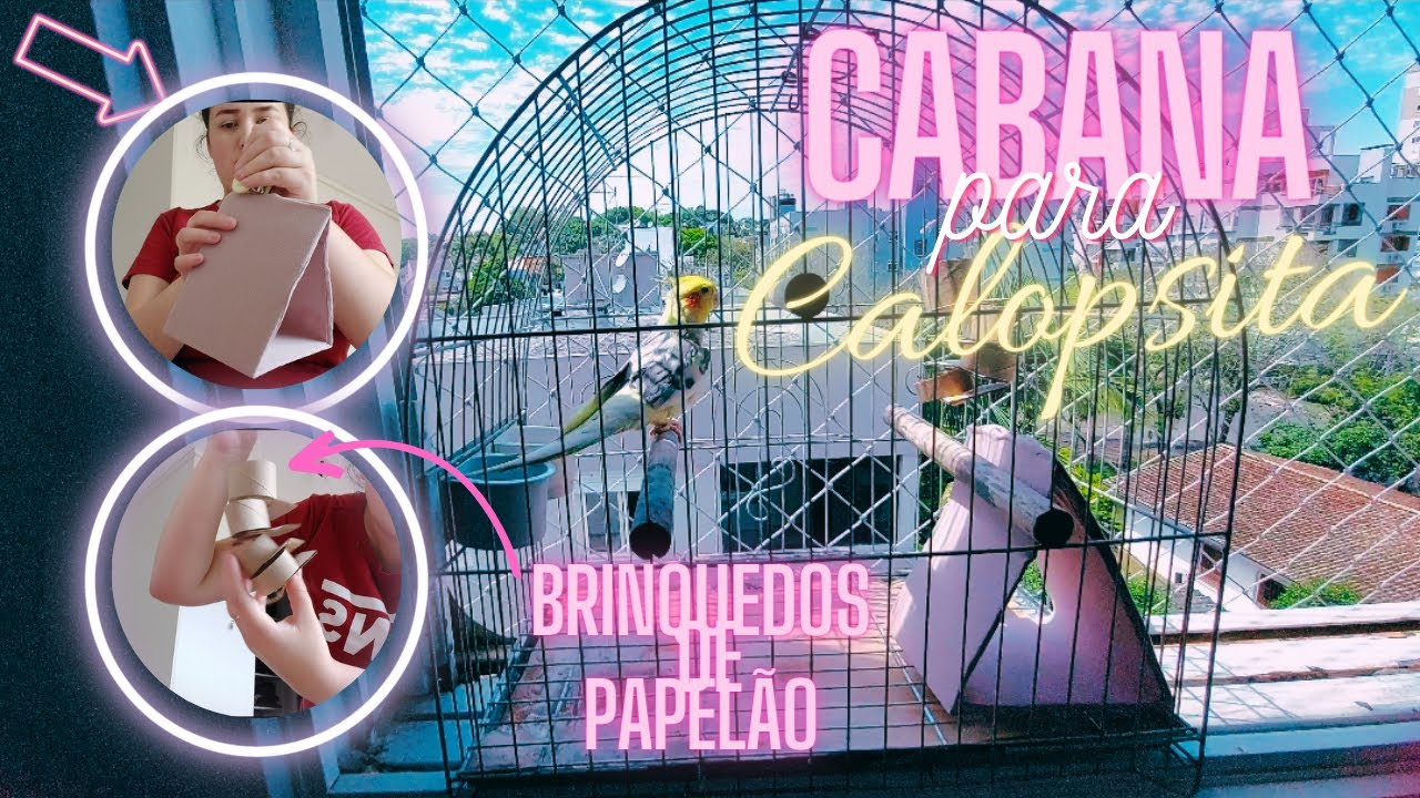 FIZ UMA CABANA E BRINQUEDOS DE PAPELÃO PARA MINHA CALOPSITA - YouTube