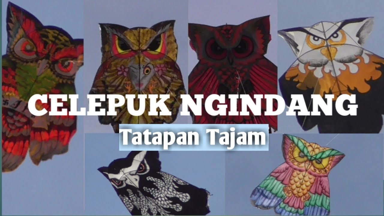 Layangan CELEPUK NGINDANG part 2 asik YouTube