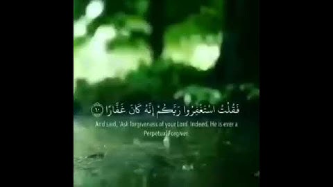 تلاوة خاشعة ورائعة للشيخ ياسر الدوسري لبعض الآيات من {سورة نوح}