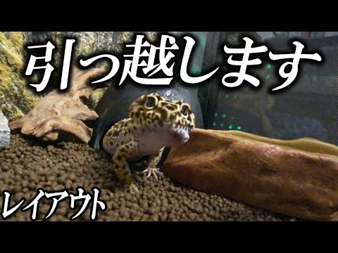 きなとのケージ屋 レオパ 2部屋ケージ レオパ向けケージの紹介