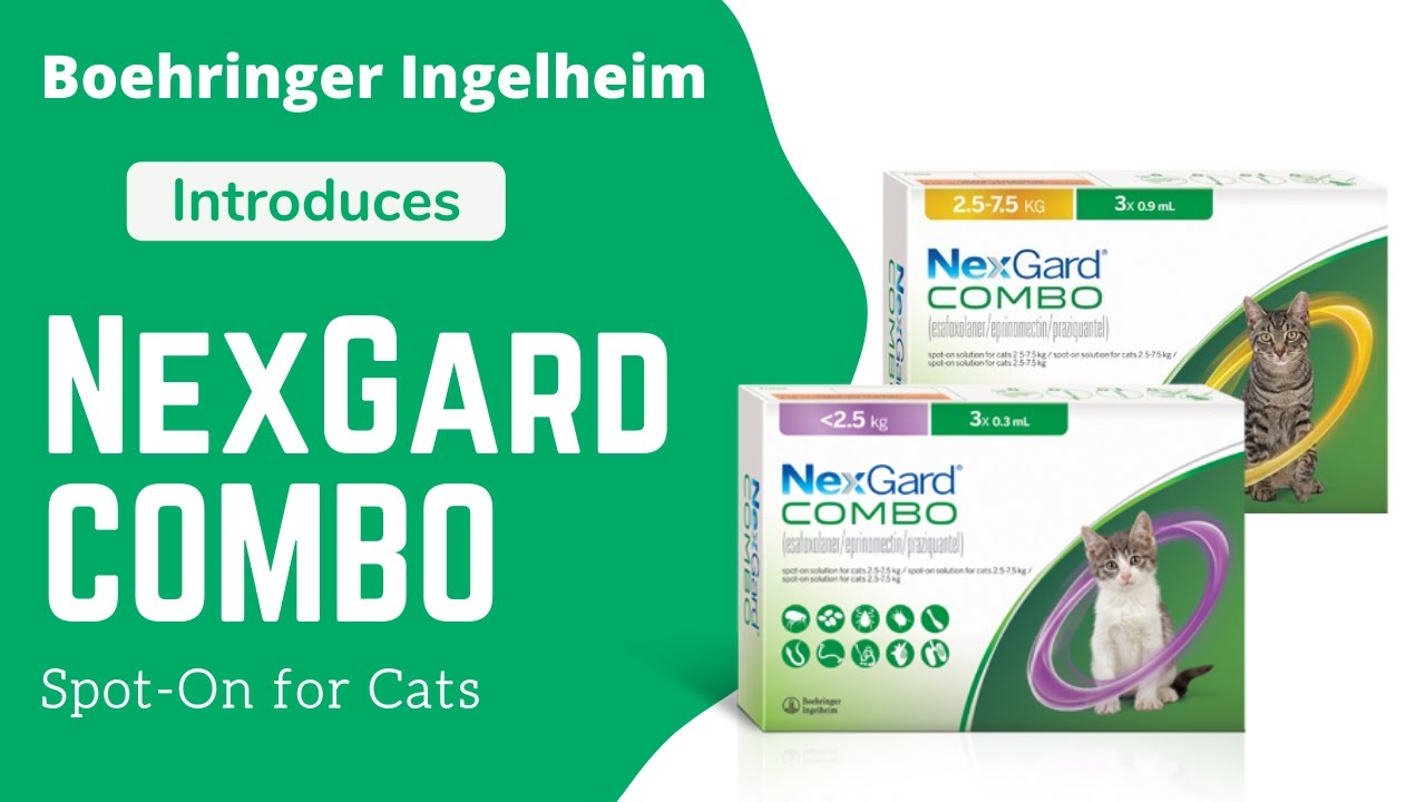 boehringer-ingelheim-introduces-nexgard-combo-spot-on-for-cats-youtube