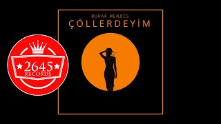 Burak Mendeş - Çöllerdeyim (Şiir) Resimi