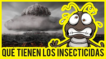 ¿Qué le pasa a una cucaracha cuando la rocías con Raid?