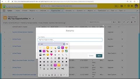 How To add Emoji to List View Names in Salesforce ⭐️