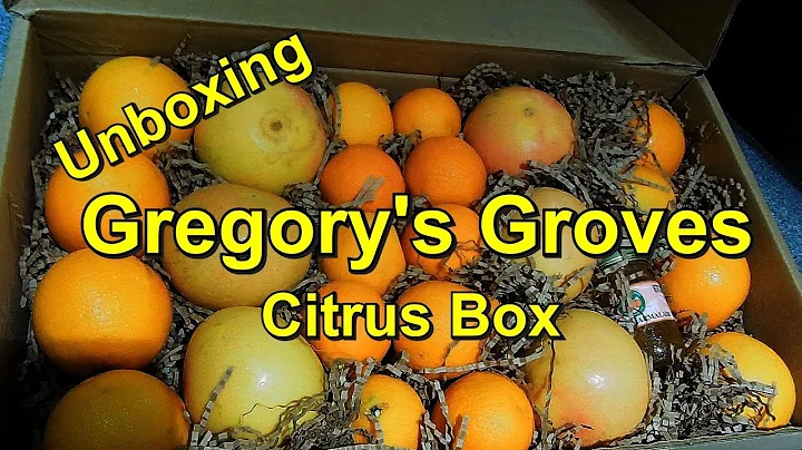 WORTH THE COST? Gregory's Groves Citrus Fruit Box ...