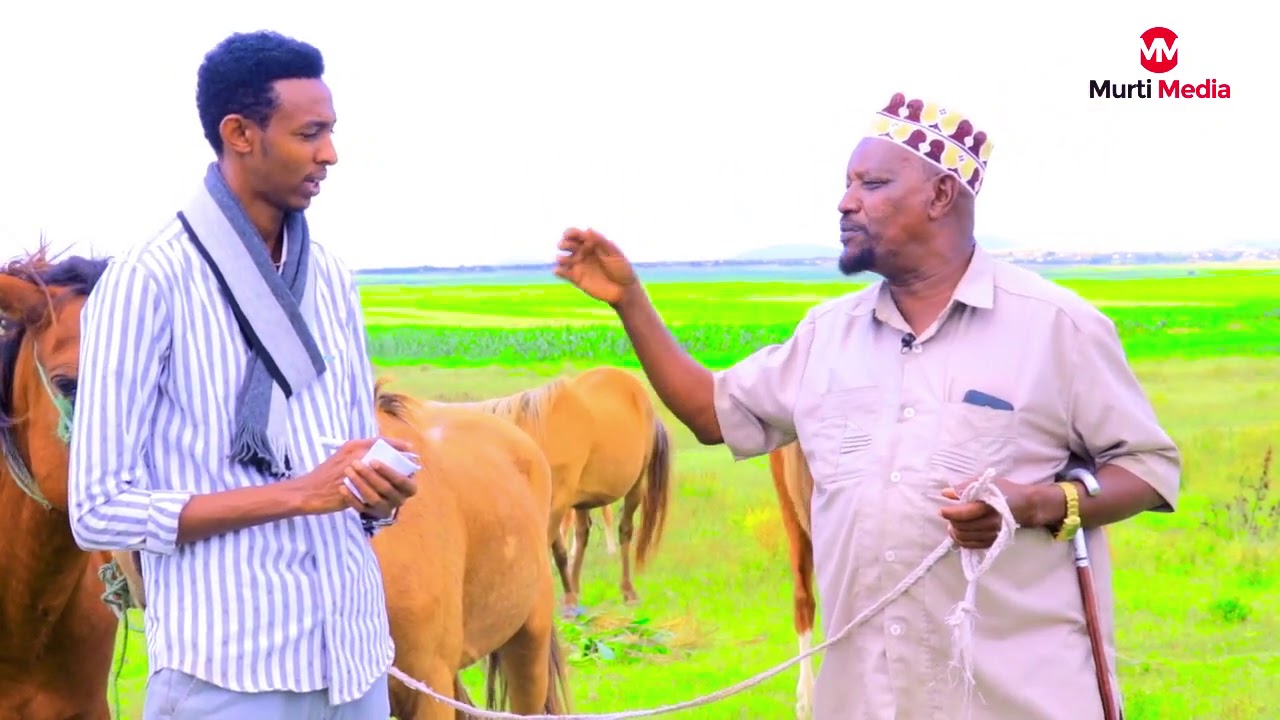 Barnaamij xiiso badan iyo dhaqashada fardaha. duleedka Jigjiga.