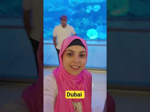 Dubai under water zoo #dubai #dubaimall #shorts