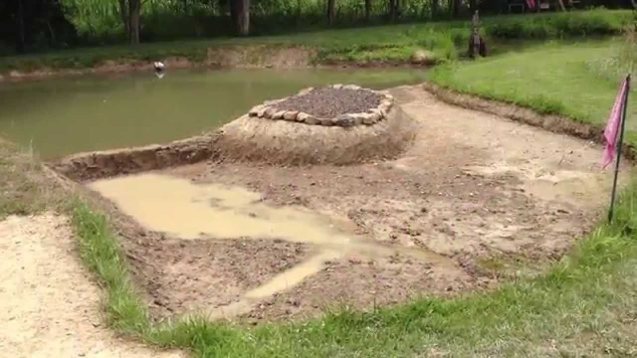 Fishing Pond X2 Update Pond Creatures Thrive Despite the Leaks! YouTube