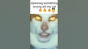 Monday Left Me Broken Cat