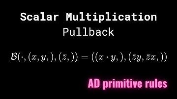 Scalar Multiplication - Pullback/vJp rule
