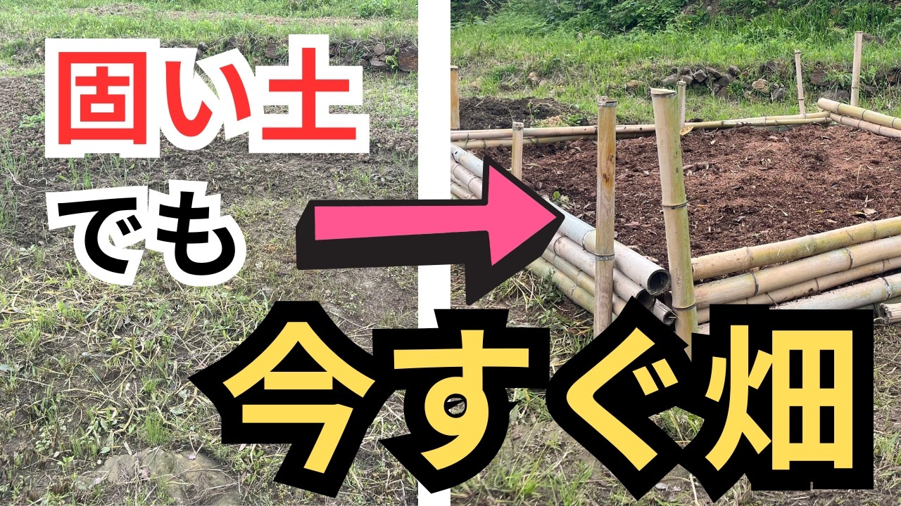 【1万円・1日】耕作放棄地を竹だけで畑にDIY！固い土でも今すぐできる｜初心者・家庭菜園