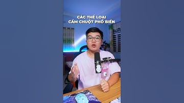 NHỮNG KIỂU CẦM CHUỘT phổ biến mà bạn NÊN BIẾT!