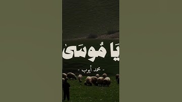 اكتب شيء تؤجر عليه | القارئ محمد أيوب