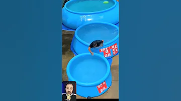 اروع حمام سباحه فى المنزل 