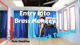 Famous Pole Trick Tutorial - Unique Entry Into Brass Monkey combo (master pole fitness) Profile