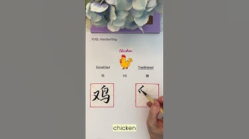 Simplified VS Traditional Chinese - (鸡 & 雞) #chinesecalligraphy #chinesecharacters #language #shorts