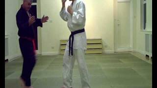 Avoid & Redirection of Force 1 Guide