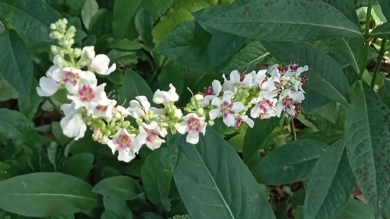 Lato trwa... w Różanym Zakątku 