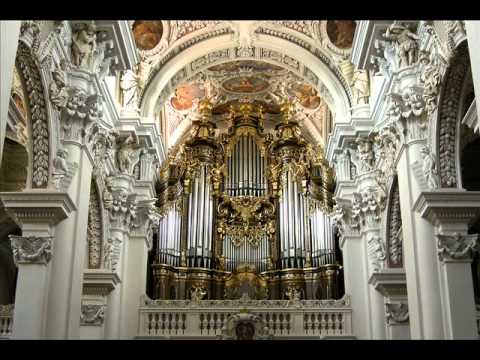 Toccata and Fugue in D Minor Best Version Ever