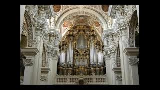 Toccata and Fugue in D Minor (Best Version Ever)
