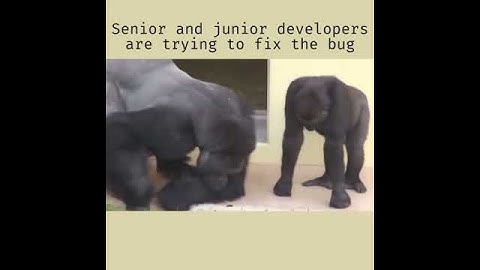 Senior and junior developer are trying to fix the bug