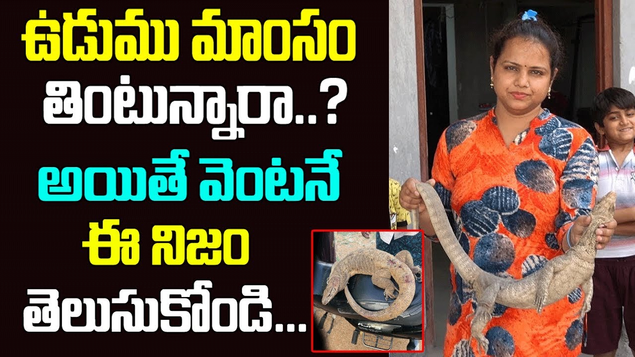 Monitor Lizard Facts In Telugu Surprising Facts About Komodo Dragons Monitor Lizard Facts In Telugu Surprising Facts About Komodo Dragons