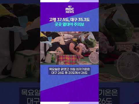 고령 37.5도, <strong>대구</strong> 35.3도···곳곳 열대야 주의보 #shorts (대구MBC)