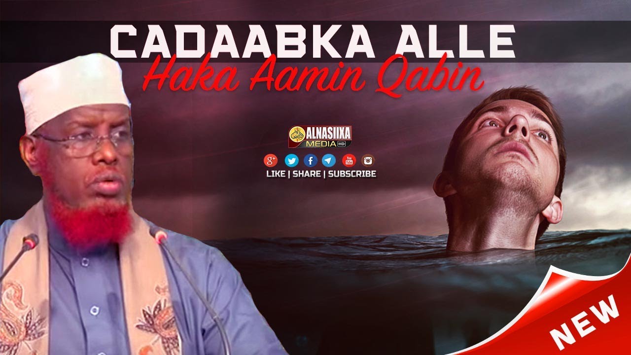 HAKA AAMIN QABIN CADAABKA ALLE ⁴ᴷ┇ Sh. Maxamed Cabdi Umal