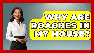 Why Are Roaches In My House? - Insects and Invaders