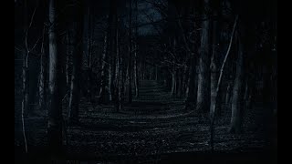 Download Lagu Unknown Nextbot's - New Music MP3