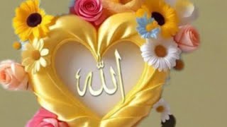 Mohammad Nazim Nizami is live!