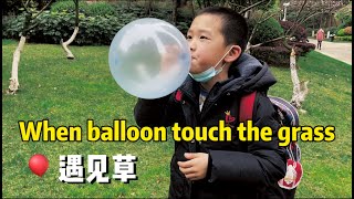 When the balloon touch the grass, it will...