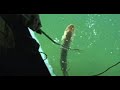 906 Outdoors - Spearfishing for Pike