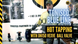 Tonisco B30 Blue Line - Vexve ball valve DN150