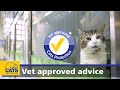 Cats Protection&#39;s &#39;Vet Approved&#39; badge | Our website advice