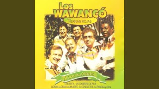 Video thumbnail of "Los Wawancó - Un Sombrero Blanco"