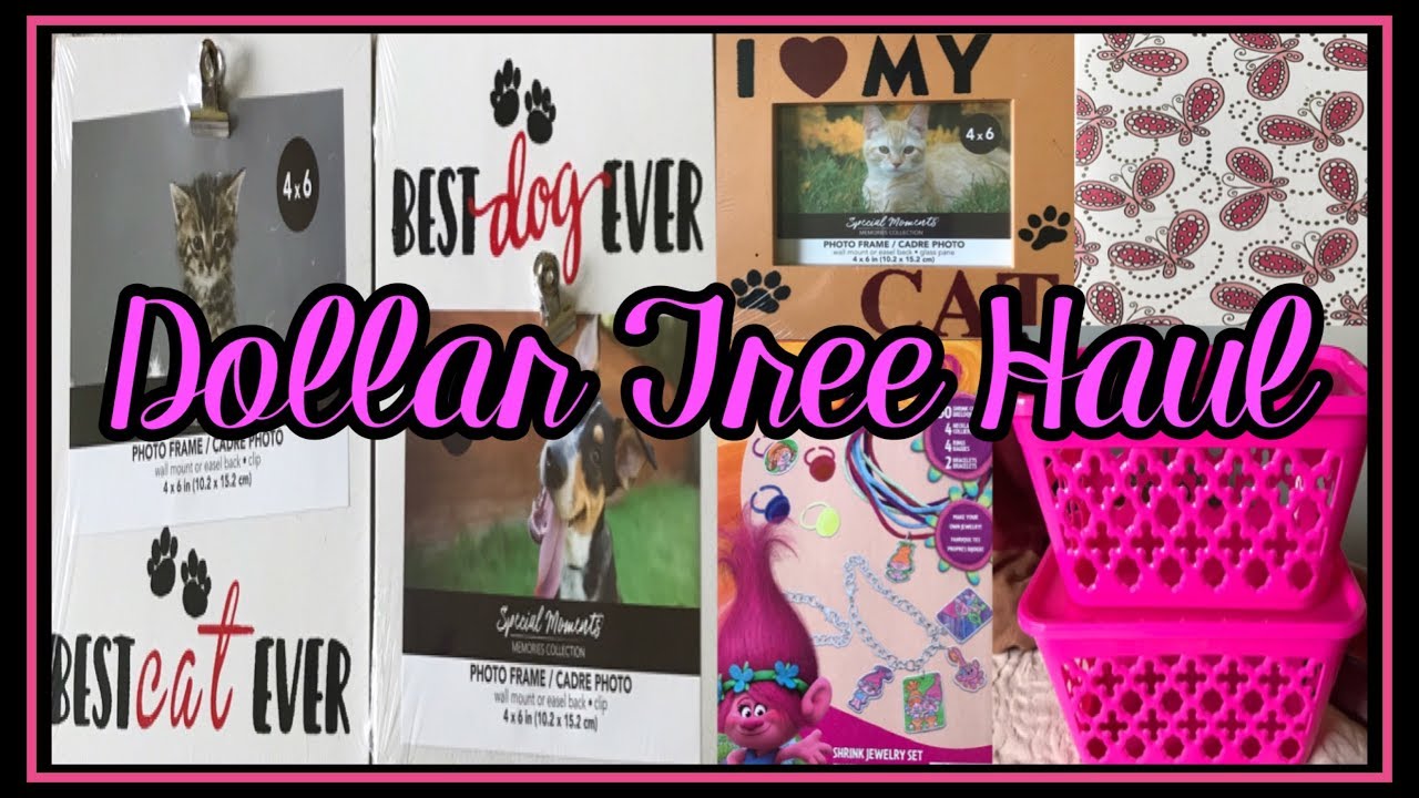 DOLLAR TREE HAUL | ALL NEW ITEMS | MAY 27 2019