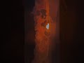 Peaceful Morning Sunrise (Timelapse Magic)