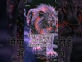 boys attitude wallpaper short video