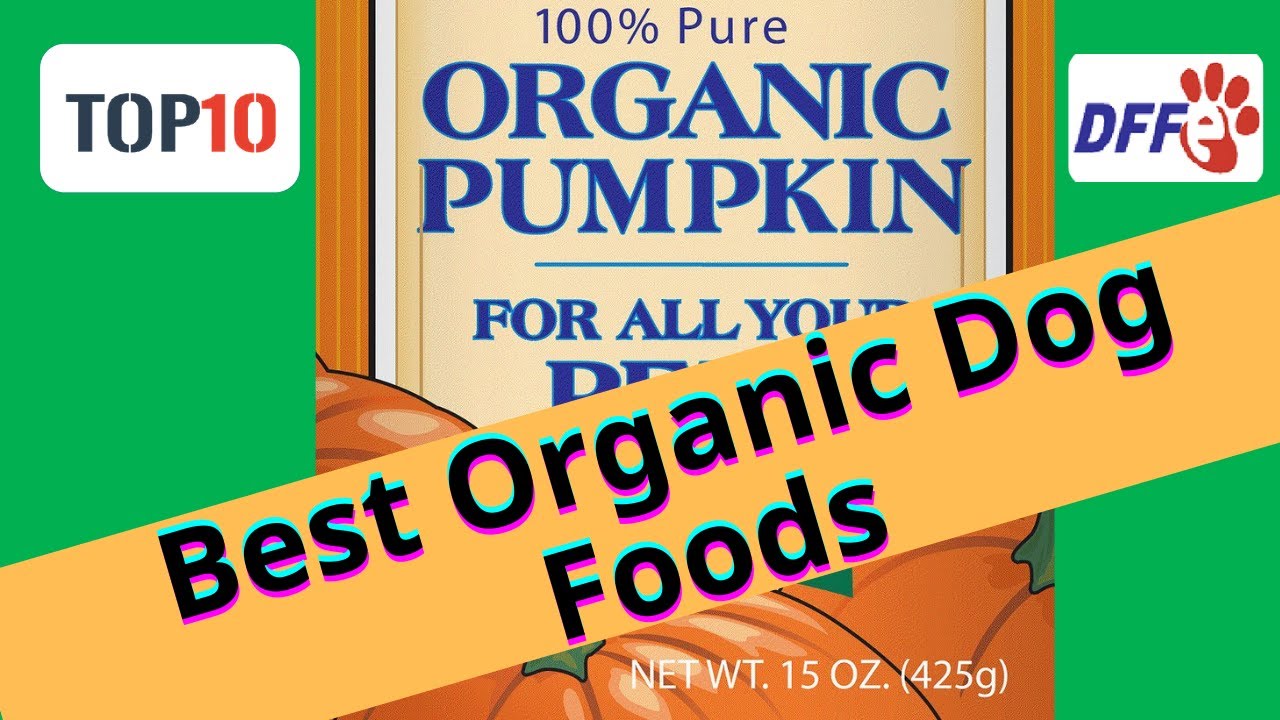 Top10 Best Organic Dog Foods(Reviews) Buying Guide 2021 YouTube