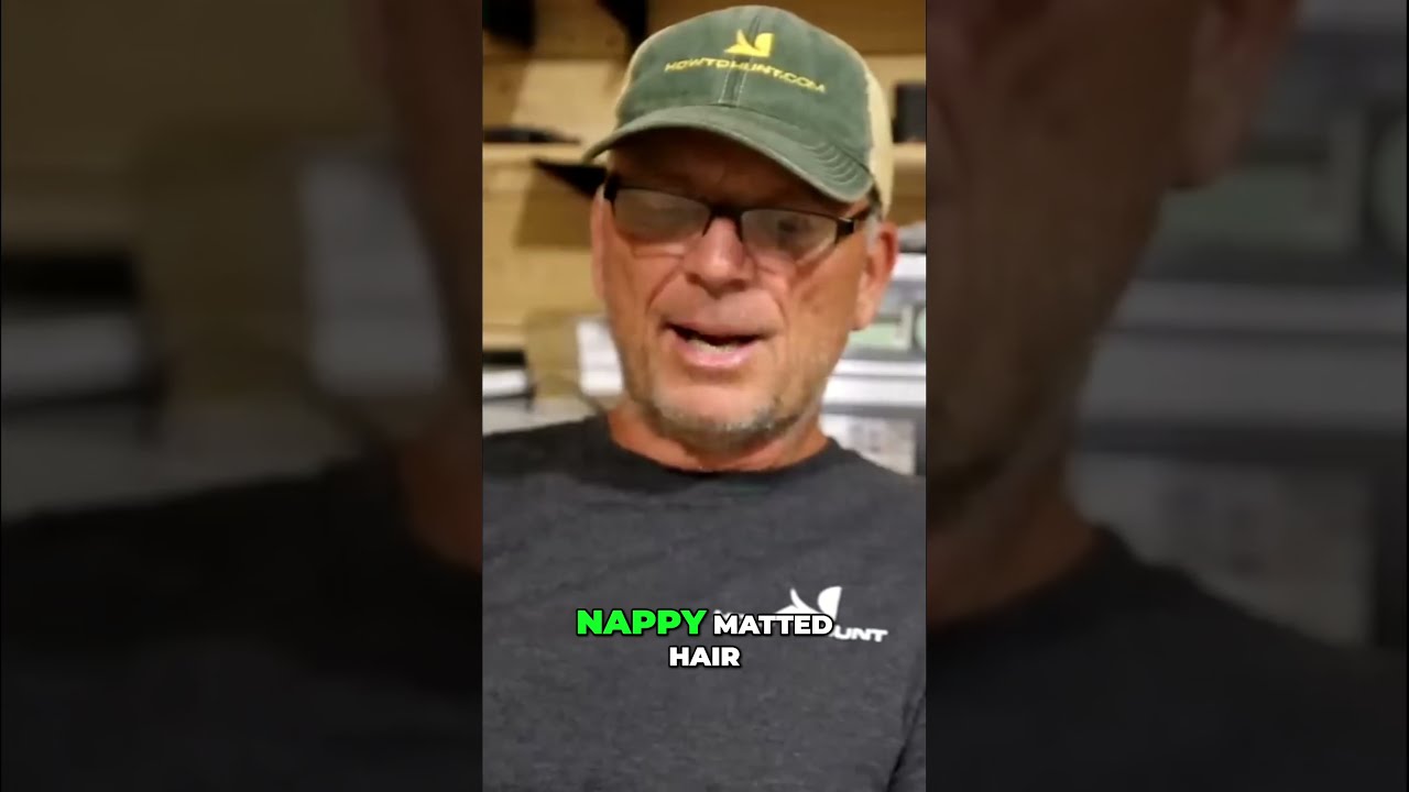 Track Rider Encounters Railroad Inspector S Bigfoot Sightings