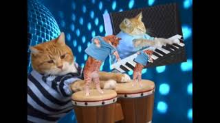 Keyboard Cat's 2021 Triple Play!