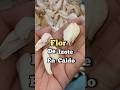 Prepara Caldo de Flor de Izote  Con Orejitas de pipian
