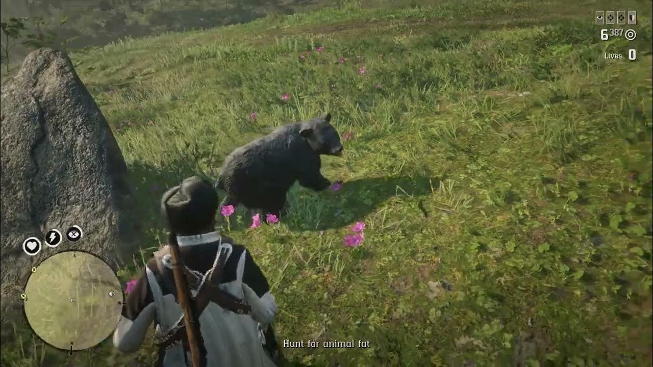 A Bitter Means To The Bitter End Black Bear Attack YouTube a-bitter-means-to-the-bitter-end-black-bear-attack-youtube