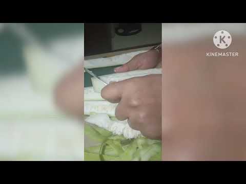 Let's cutting bottle gourd vegetables#healthy#vegetables#yummy#viral